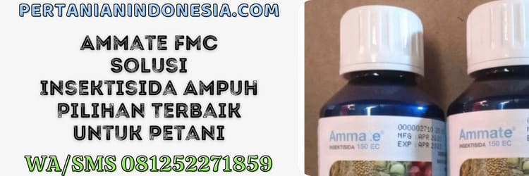 insektisida,insektisida ammate,pestisida,racun serangga,petani